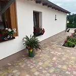 Wiedemann We 5 *