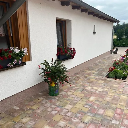 Wiedemann We 5 *